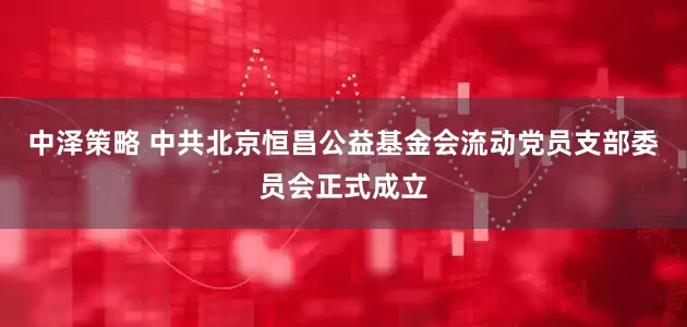 中泽策略 中共北京恒昌公益基金会流动党员支部委员会正式成立